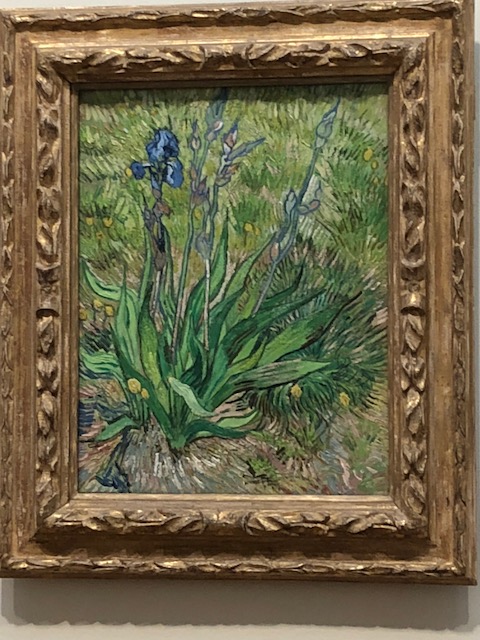 VanGogh