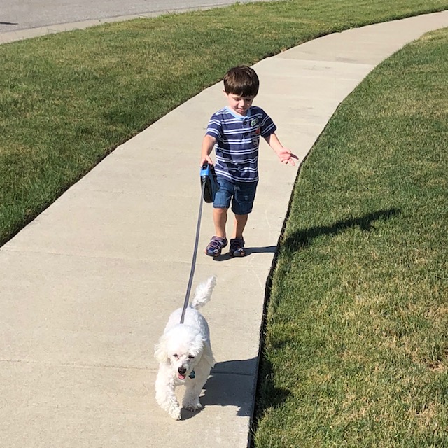 Walking Maddie