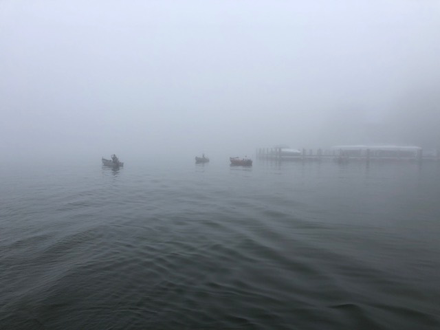 7amVisibility