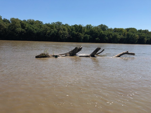 DriftwoodCover
