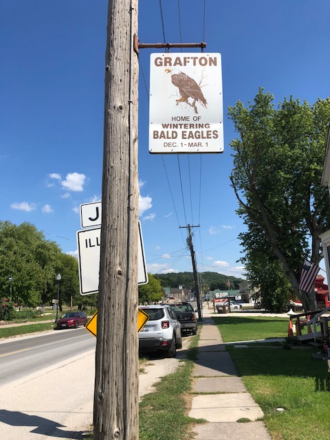 GraftonBaldEagles