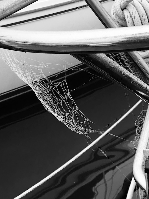 MistyWeb2