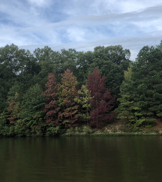 Fall Colors on the&nbsp;Tenn-Tom
